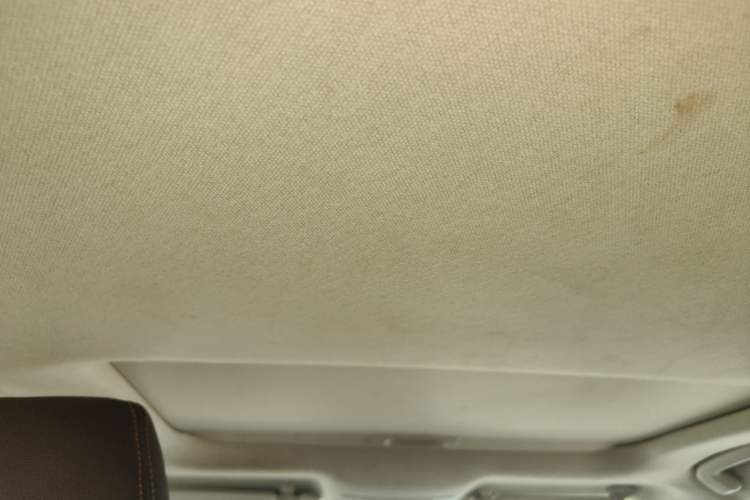 Used Toyota Corolla 2019 1.2T S-CVT GL-i Elite Edition Headliner