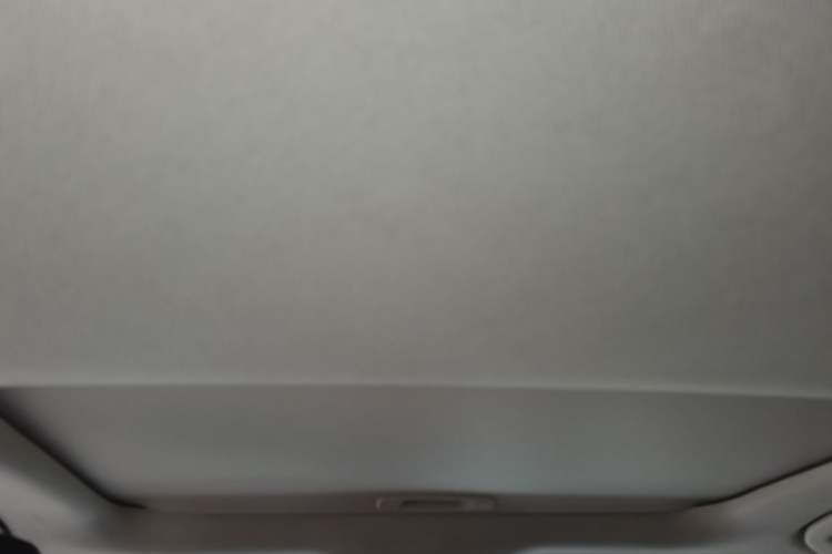 Used Toyota Corolla 2019 1.2T S-CVT GL-i Elite Edition Headliner