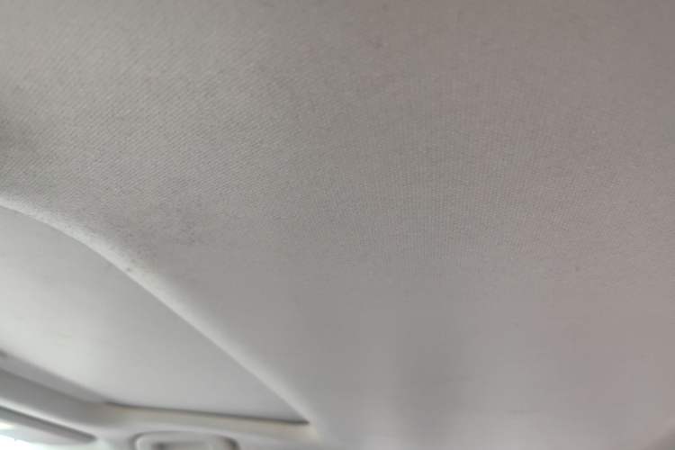 Used Toyota Corolla 2019 1.2T S-CVT GL-i Elite Edition Headliner