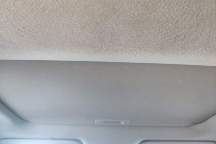 Used Toyota Corolla 2019 Dual-Engine 1.8L E-CVT GL-i Elite Edition Headliner