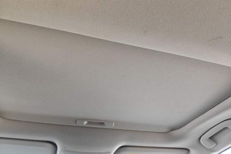 Used Toyota Corolla 2019 1.2T S-CVT GL-i Elite Edition Headliner