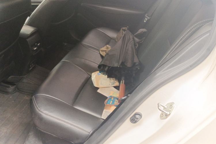 Used Toyota Corolla 2019 Dual-Engine 1.8L E-CVT GL-i Elite Edition Left Rear Seat