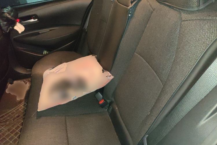 Used Toyota Corolla 2019 1.2T S-CVT GL-i Elite Edition Left Rear Seat