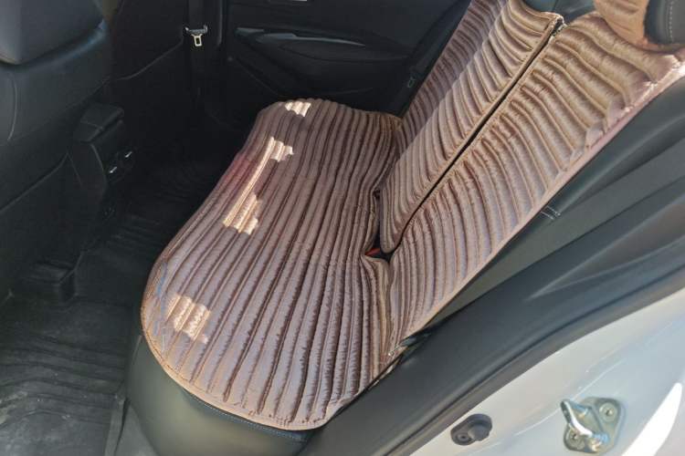 Used Toyota Corolla 2019 1.2T S-CVT GL-i Luxury Edition Left Rear Seat