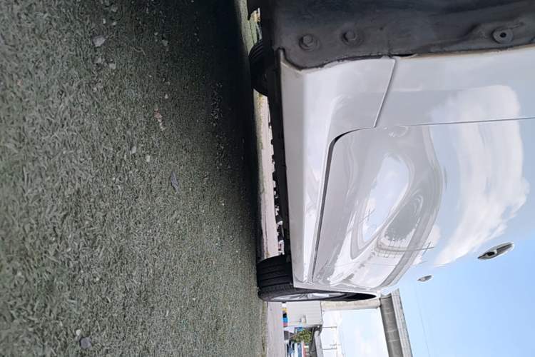 Used Toyota Corolla 2019 1.2T S-CVT GL-i Luxury Edition Left Side Sill