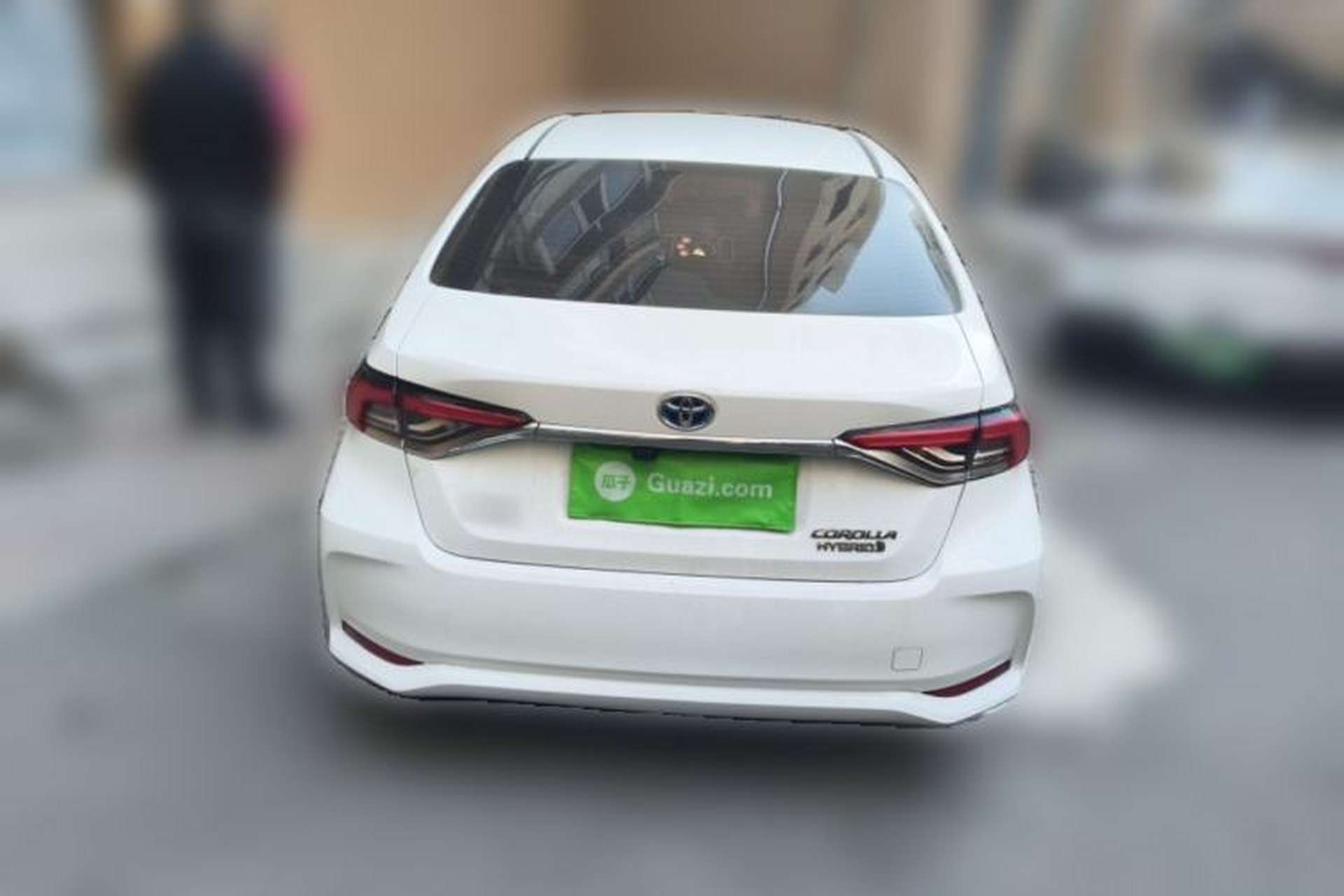 Used Toyota Corolla 2019 Dual-Engine 1.8L E-CVT GL-i Elite Edition Rear