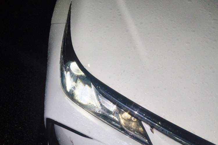 Used Toyota Corolla 2019 Dual-Engine 1.8L E-CVT GL-i Elite Edition Right Front Headlight