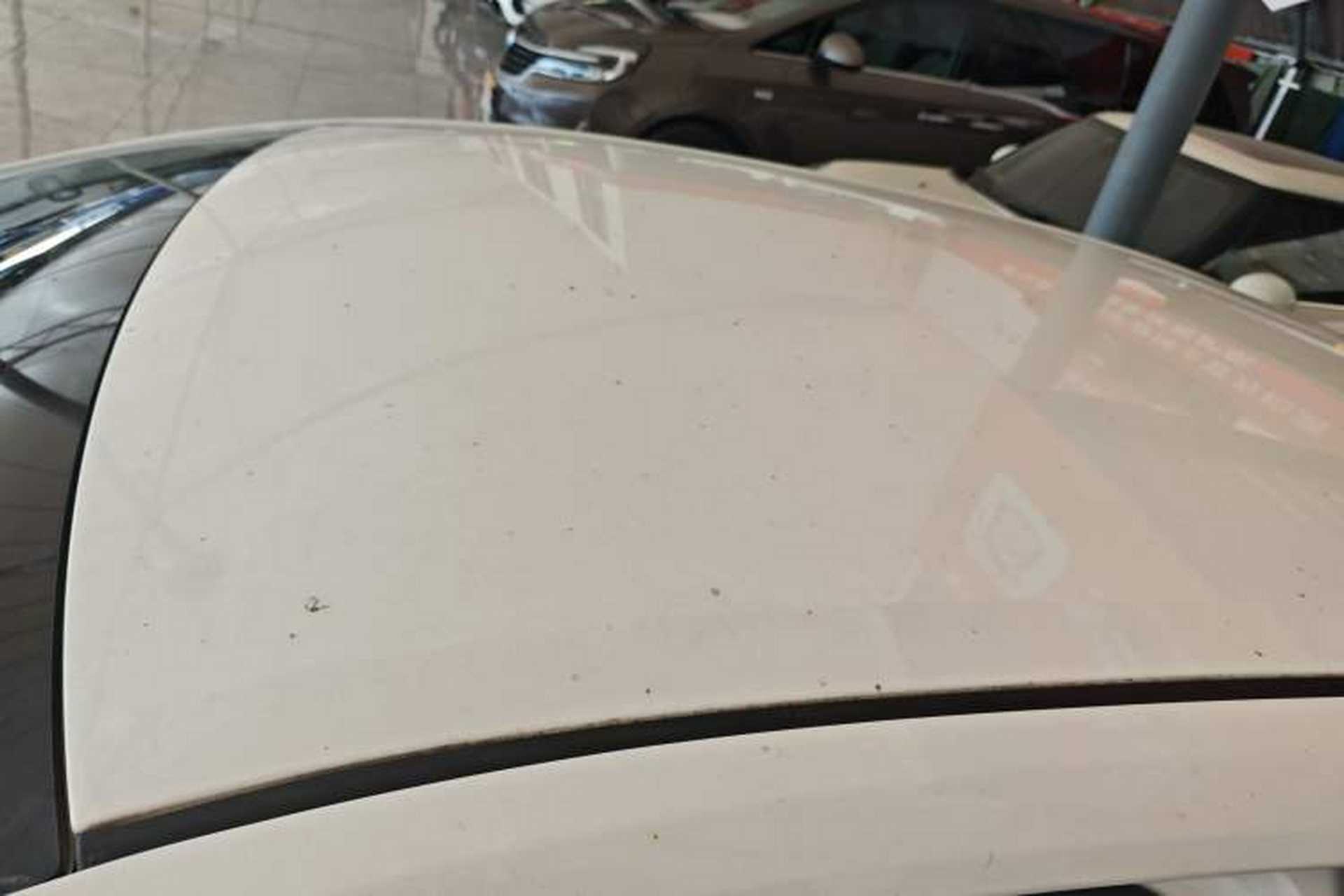 Used Toyota Corolla 2019 Dual-Engine 1.8L E-CVT GL-i Pioneer Edition Roof