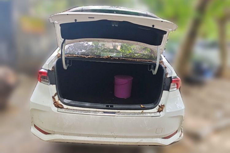 Used Toyota Corolla 2019 1.2T S-CVT GL-i Elite Edition Trunk