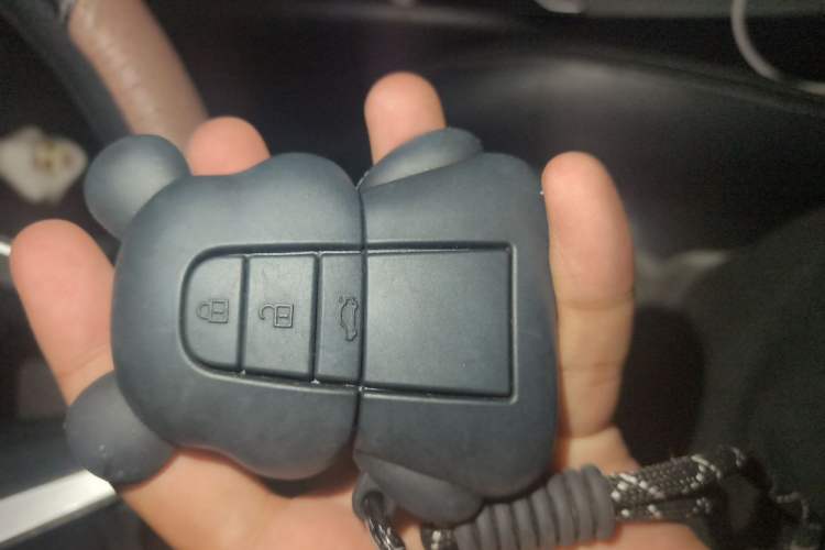Used Toyota Corolla 2019 1.2T S-CVT GL-i Elite Edition Vehicle Key
