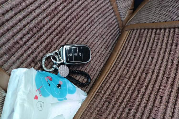 Used Toyota Corolla 2019 1.2T S-CVT GL Pioneer Edition Vehicle Key