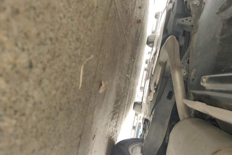 Used Toyota Corolla 2021 Dual-Engine 1.8L E-CVT Pioneer Edition Chassis Rear