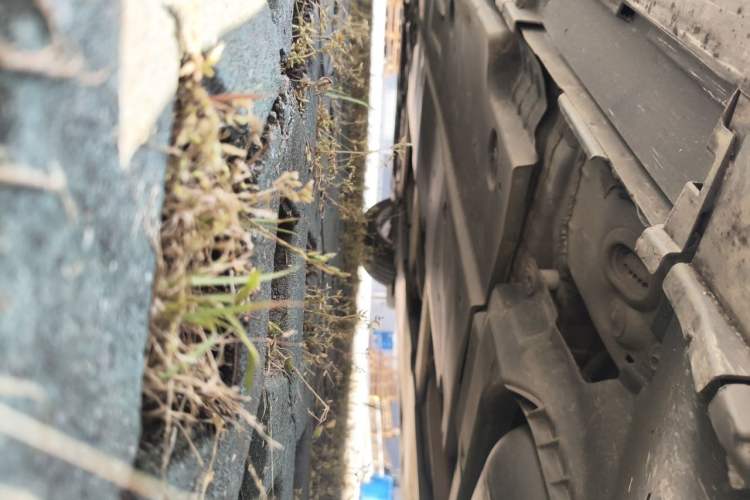 Used Toyota Corolla 2021 Dual-Motor 1.8L E-CVT Elite Edition Chassis Rear Left