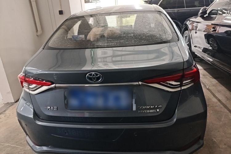 Used Toyota Corolla 2021 Dual-Motor 1.8L E-CVT Elite Edition Rear