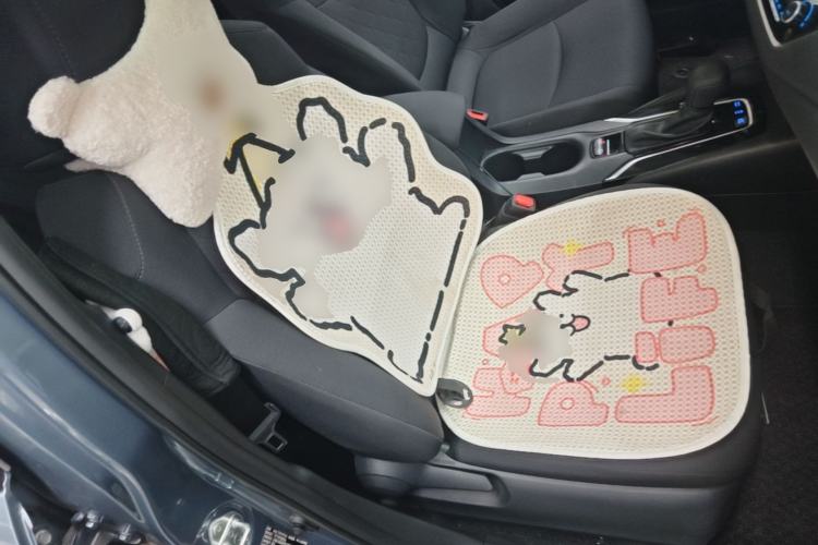 Used Toyota Corolla 2021 Dual-Motor 1.8L E-CVT Elite Edition Right Front Seat