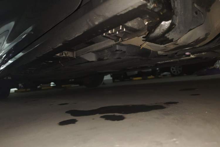 Used Toyota Corolla 2021 1.2T S-CVT Elite Edition Chassis Front Right