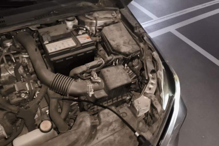 Used Toyota Corolla 2021 1.2T S-CVT Elite PLUS Edition Engine Bay Left