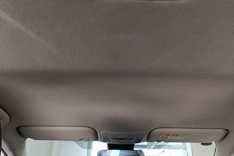 Used Toyota Corolla 2021 1.2T S-CVT Pioneer Edition Headliner