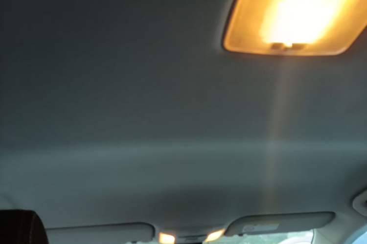 Used Toyota Corolla 2021 1.2T S-CVT Pioneer PLUS Edition Headliner