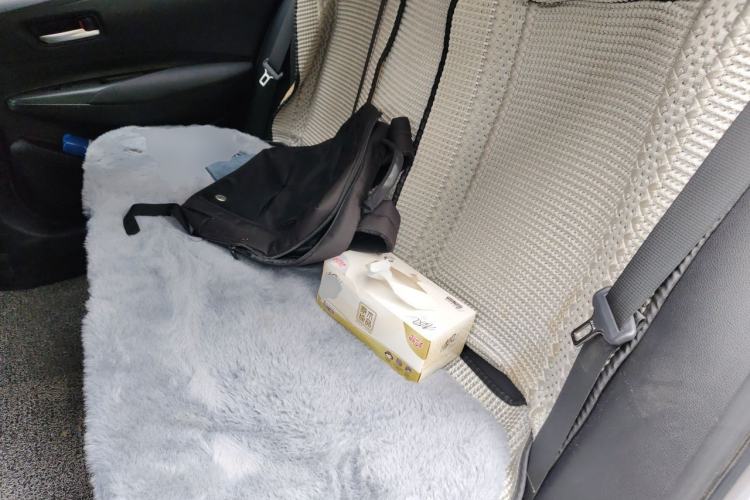 Used Toyota Corolla 2021 Dual-Motor 1.8L E-CVT Elite Edition Left Rear Seat