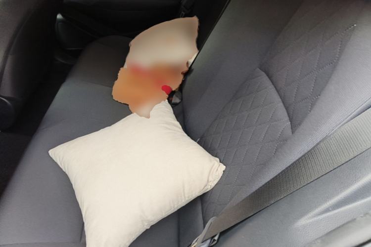 Used Toyota Corolla 2021 Dual-Motor 1.8L E-CVT Elite Edition Left Rear Seat