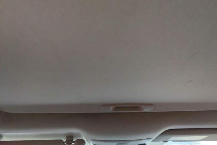 Used Toyota Corolla 2021 1.2T S-CVT Elite Edition Headliner