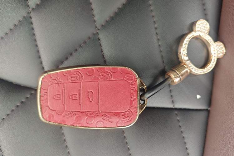 Used Toyota Corolla 2021 1.2T S-CVT Elite PLUS Edition Vehicle Key