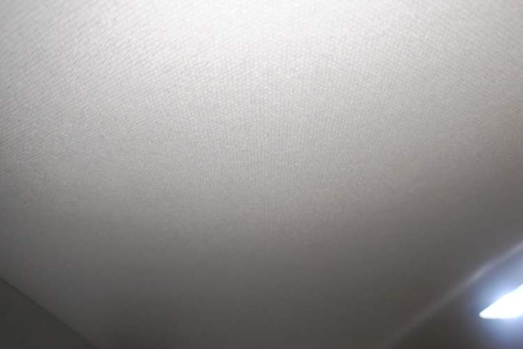 Used Toyota Corolla 2021 1.2T S-CVT Elite PLUS Edition Headliner