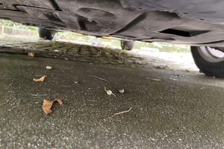 Used Toyota Corolla 2021 1.2T S-CVT Elite PLUS Edition Chassis Front