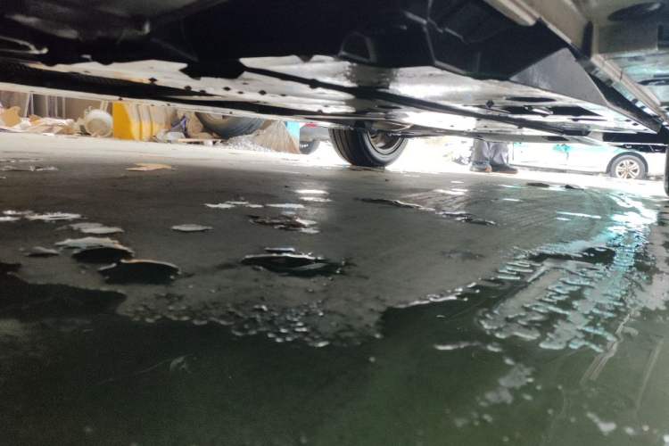 Used Toyota Corolla 2021 1.2T S-CVT Elite PLUS Edition Chassis Front Left