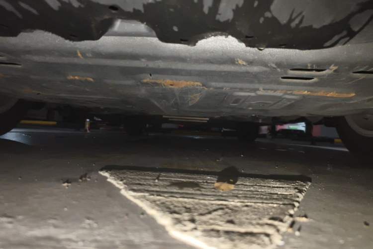 Used Toyota Corolla 2021 1.2T S-CVT Elite Edition Chassis Front