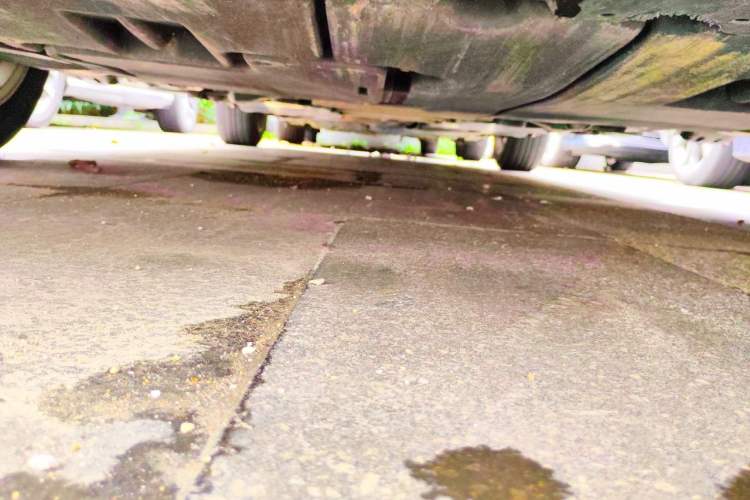 Used Toyota Corolla 2021 1.2T S-CVT Elite PLUS Edition Chassis Front
