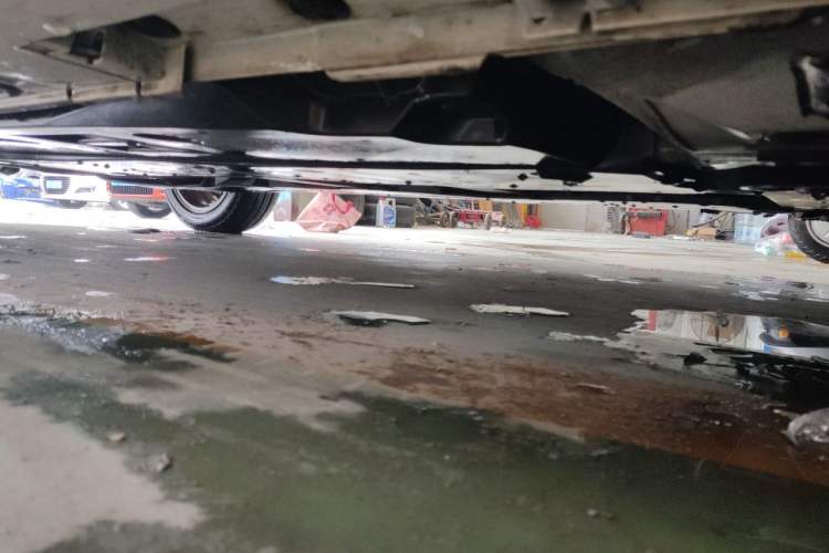 Used Toyota Corolla 2021 1.2T S-CVT Elite PLUS Edition Chassis Front Right
