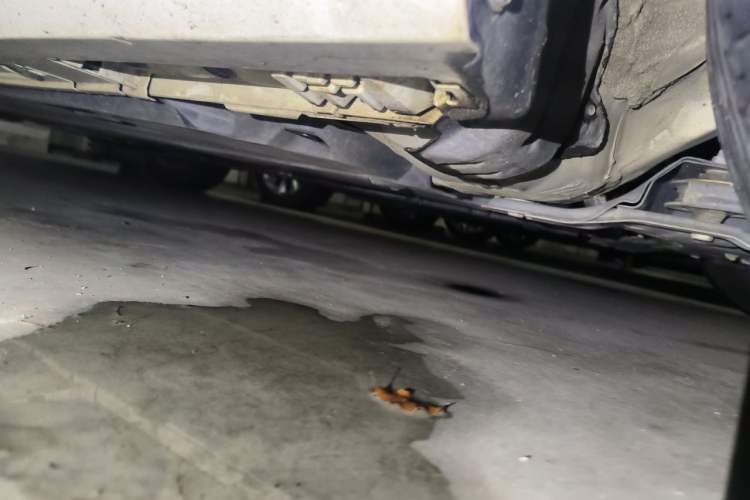 Used Toyota Corolla 2021 TNGA 1.5L CVT Elite Edition Chassis Front Right