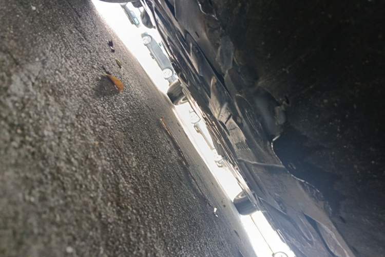 Used Toyota Corolla 2021 1.2T S-CVT Elite Edition Chassis Front