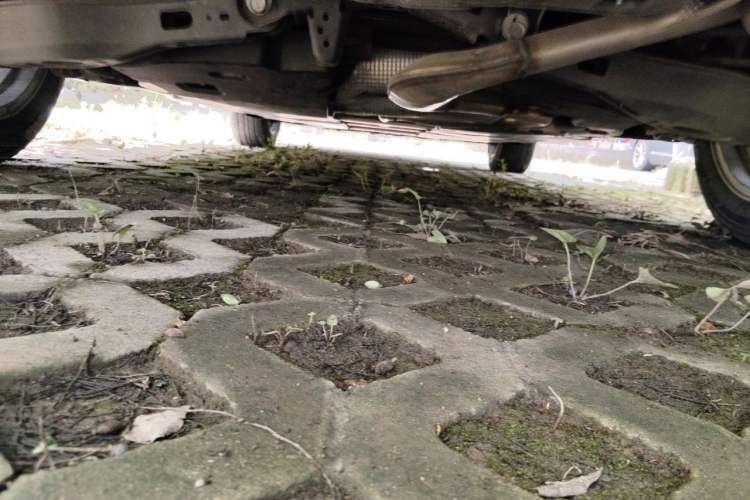 Used Toyota Corolla 2021 1.2T S-CVT Elite PLUS Edition Chassis Rear