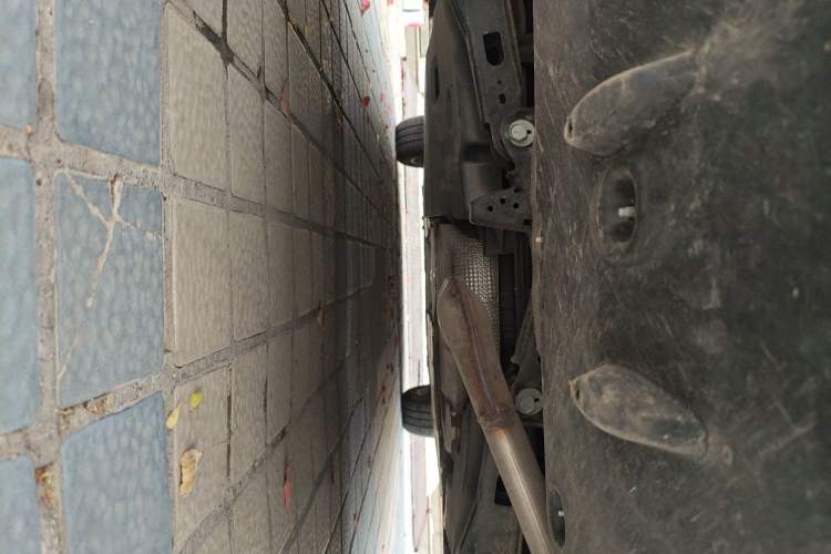 Used Toyota Corolla 2021 1.2T S-CVT Elite PLUS Edition Chassis Rear