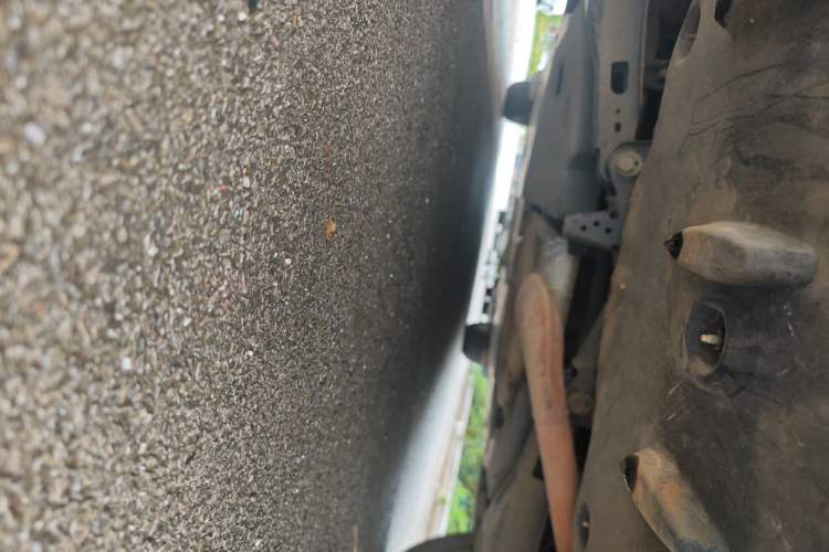 Used Toyota Corolla 2021 1.2T S-CVT Elite PLUS Edition Chassis Rear