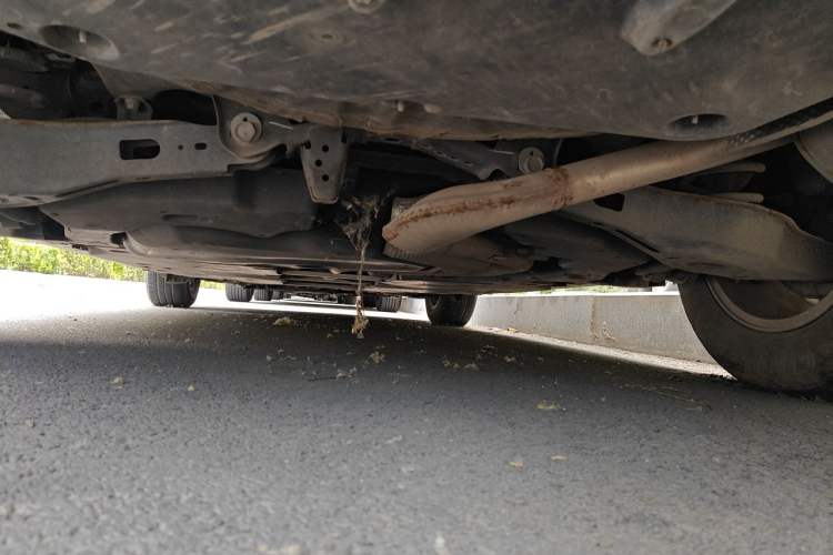 Used Toyota Corolla 2021 Dual-Engine 1.8L E-CVT Pioneer Edition Chassis Rear