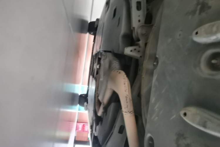 Used Toyota Corolla 2021 1.2T S-CVT Elite PLUS Edition Chassis Rear