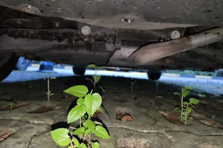 Used Toyota Corolla 2021 TNGA 1.5L CVT Elite Edition Chassis Rear