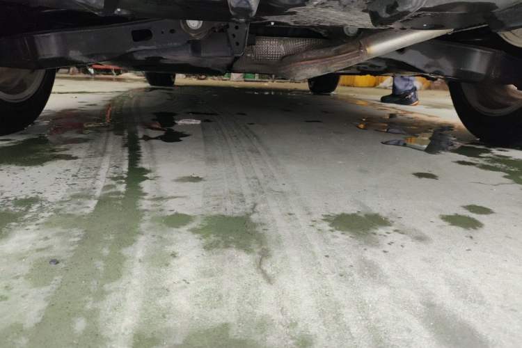 Used Toyota Corolla 2021 1.2T S-CVT Elite PLUS Edition Chassis Rear
