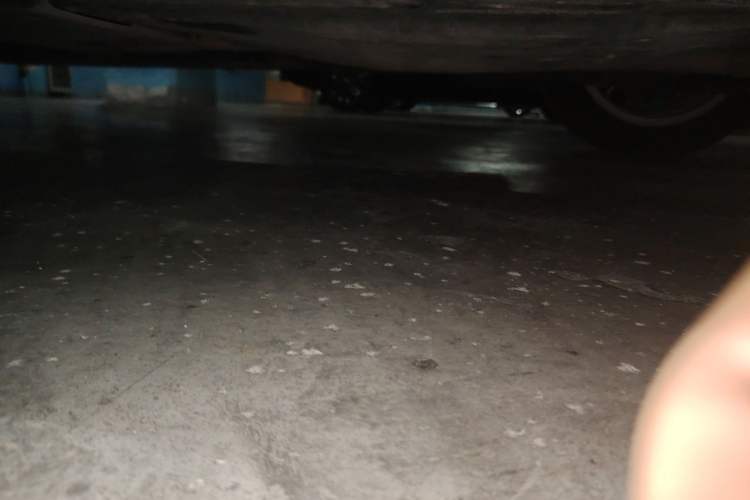 Used Toyota Corolla 2021 1.2T S-CVT Elite PLUS Edition Chassis Rear Left