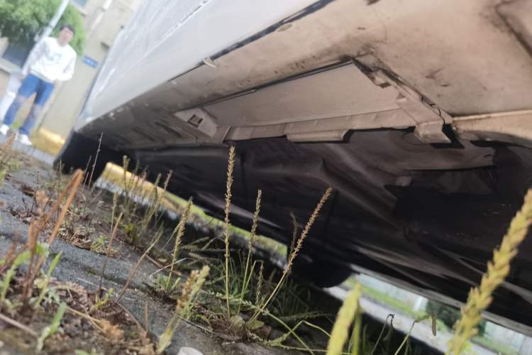 Used Toyota Corolla 2021 1.2T S-CVT Pioneer PLUS Edition Chassis Rear Left