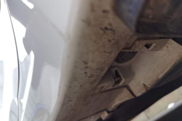 Used Toyota Corolla 2021 1.2T S-CVT Luxury Edition Chassis Rear Left
