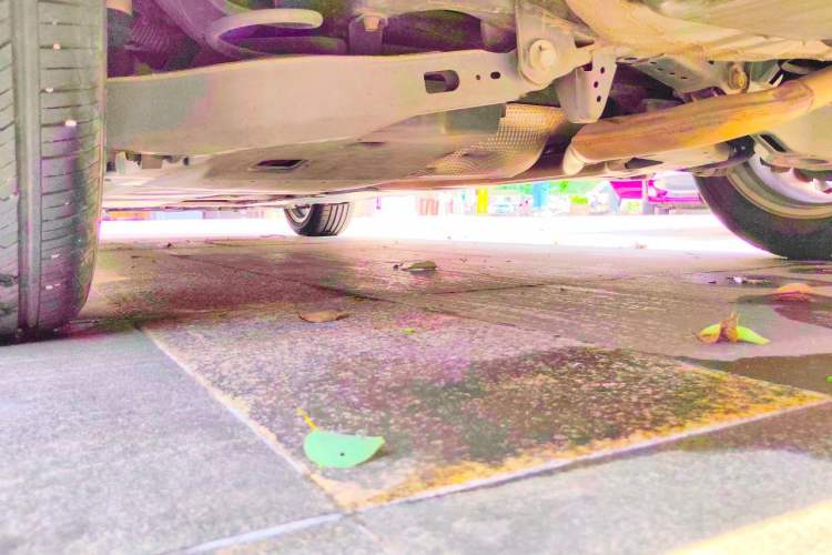 Used Toyota Corolla 2021 1.2T S-CVT Elite PLUS Edition Chassis Rear