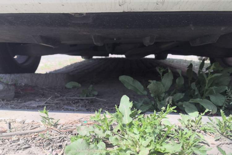 Used Toyota Corolla 2021 1.2T S-CVT Luxury Edition Chassis Rear