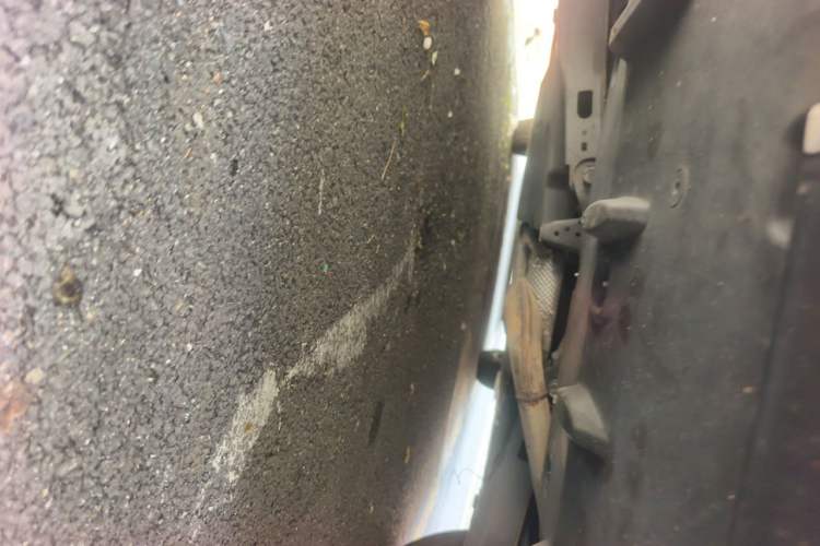 Used Toyota Corolla 2021 1.2T S-CVT Elite Edition Chassis Rear