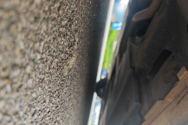 Used Toyota Corolla 2021 1.2T S-CVT Elite PLUS Edition Chassis Rear Right