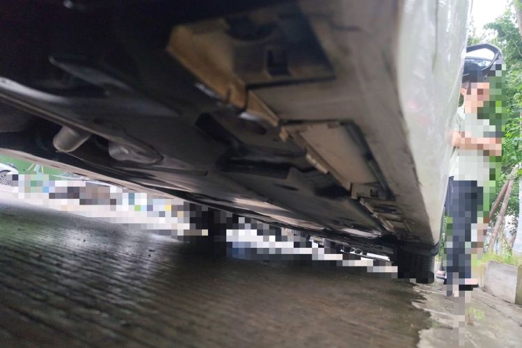Used Toyota Corolla 2021 1.2T S-CVT Elite Edition Chassis Rear Right